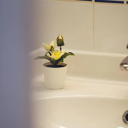 Apartment Blue Coast Punta Mujeres